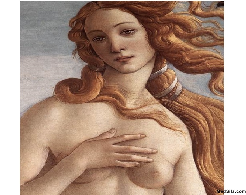 Молочная железа